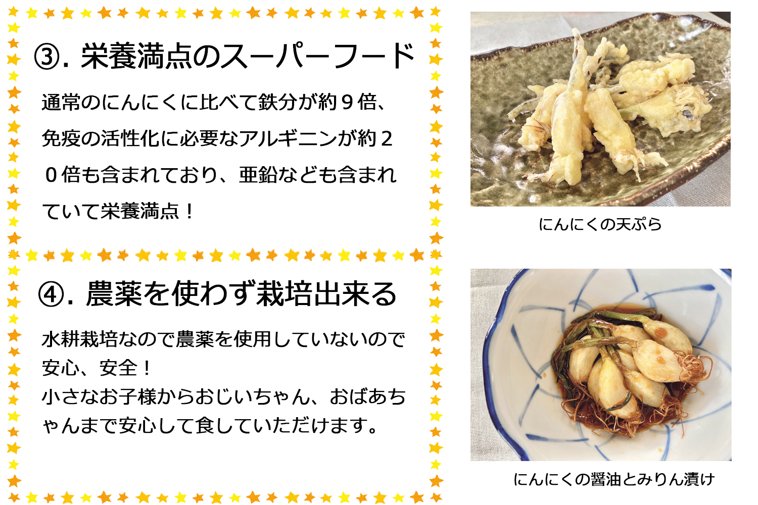 スプラウトにんにく栄養満点無農薬